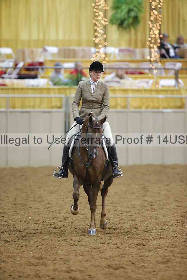 Proof 14usn_13595