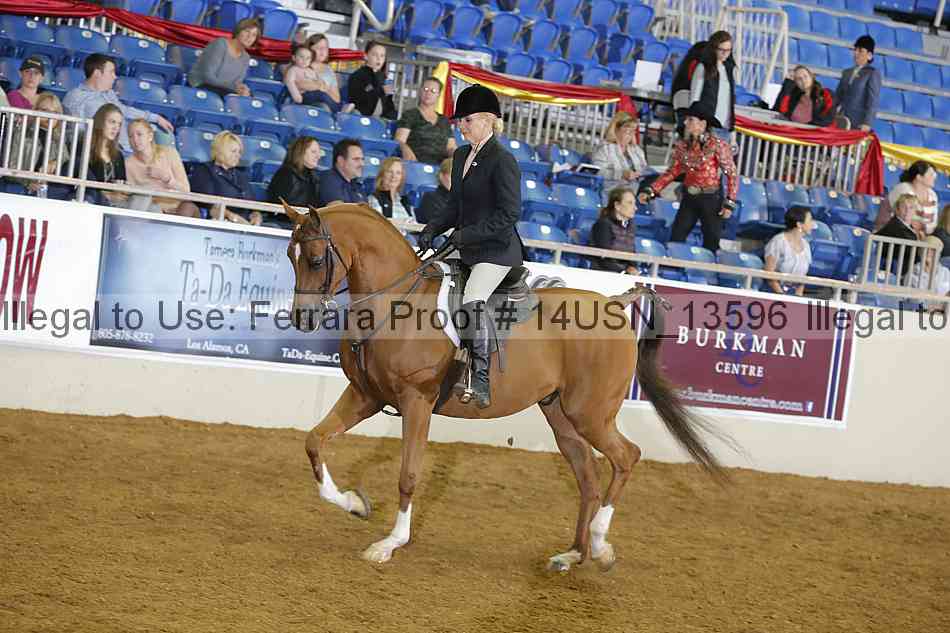Proof 14usn_13596