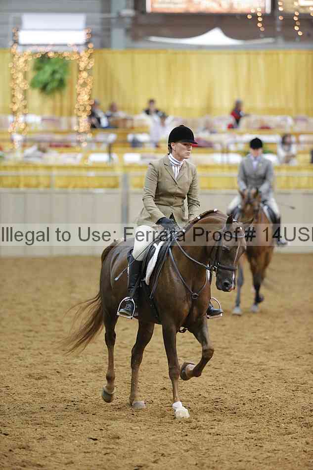 Proof 14usn_13597