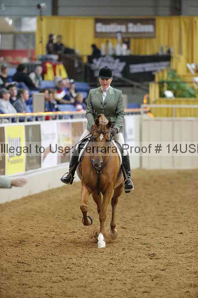 Proof 14usn_13599