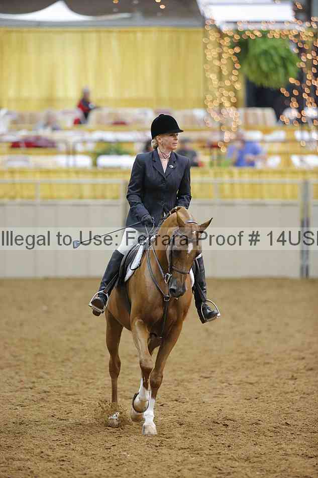 Proof 14usn_13602