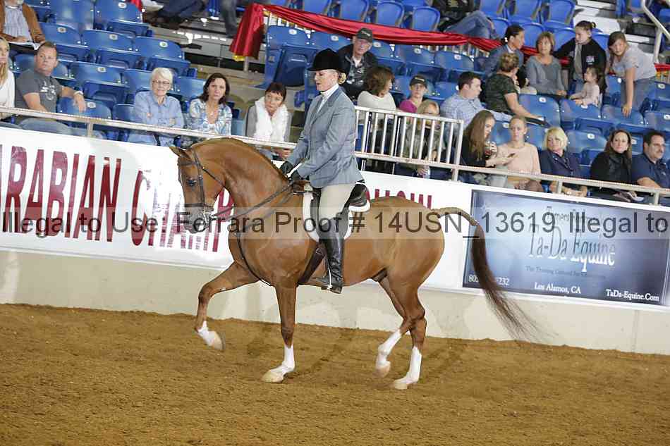 Proof 14usn_13619