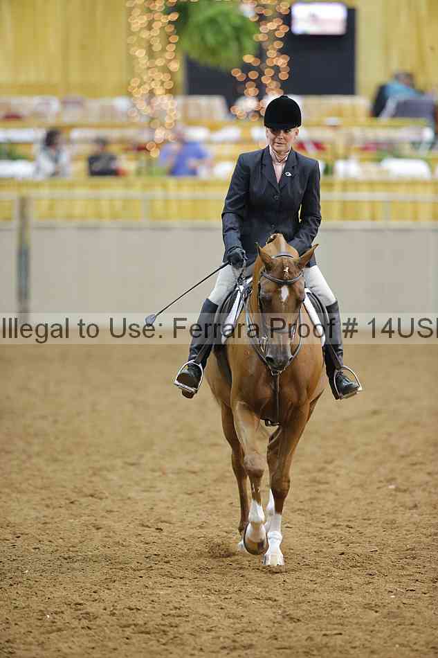 Proof 14usn_13631