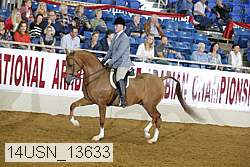 14usn_13633 proof
