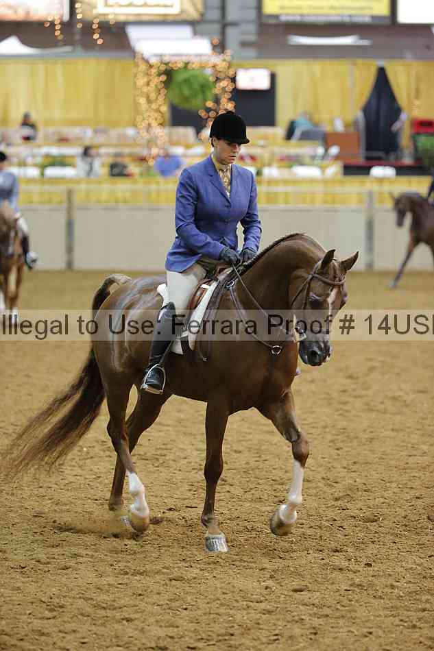 Proof 14usn_13639