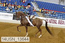 14usn_13644 proof