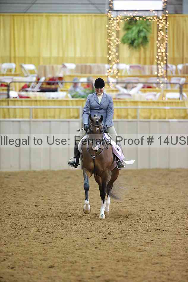 Proof 14usn_13651