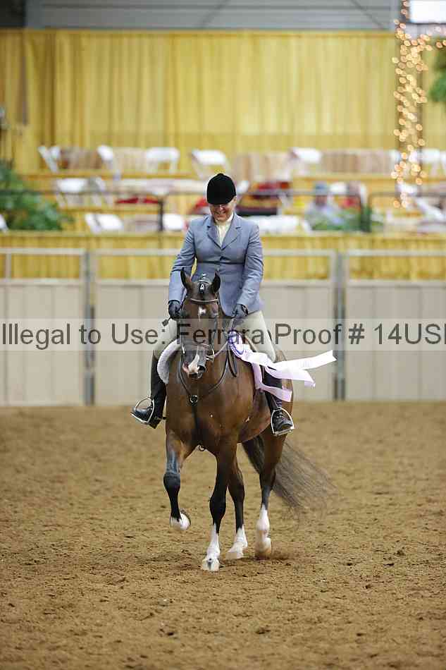 Proof 14usn_13652