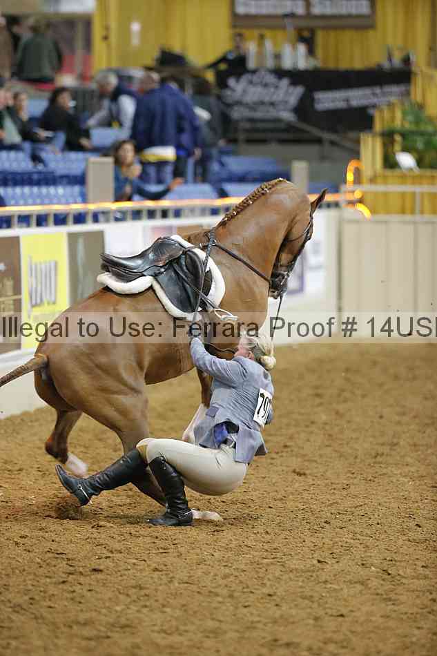 Proof 14usn_13659