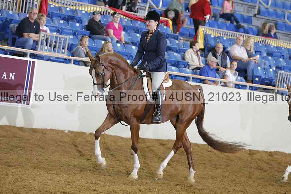 Proof 14usn_21023