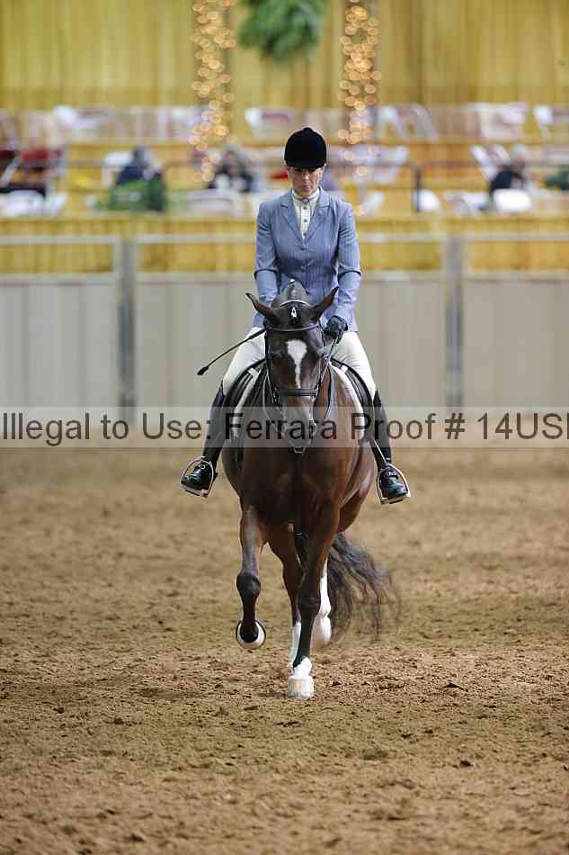 Proof 14usn_21028