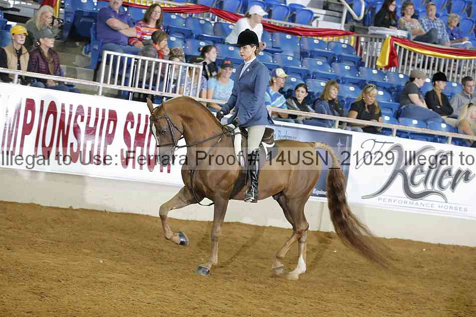 Proof 14usn_21029