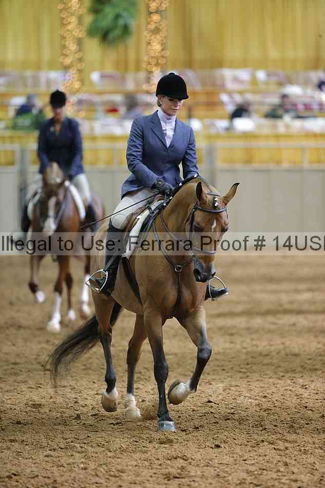 Proof 14usn_21032
