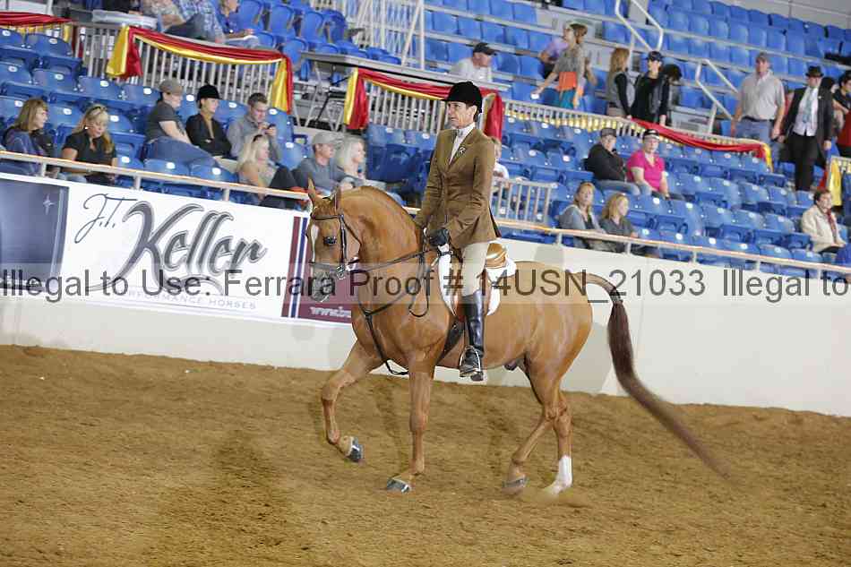 Proof 14usn_21033