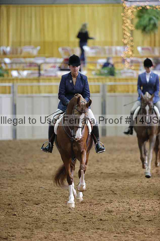 Proof 14usn_21034