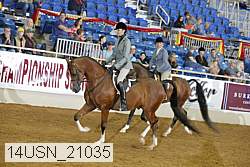 14usn_21035 proof