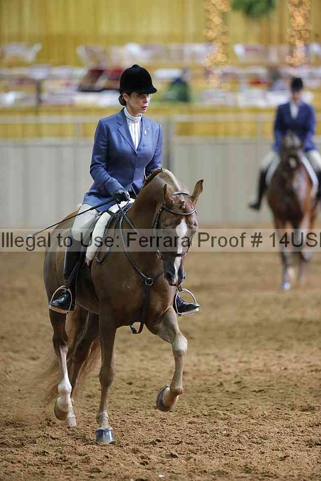 Proof 14usn_21037
