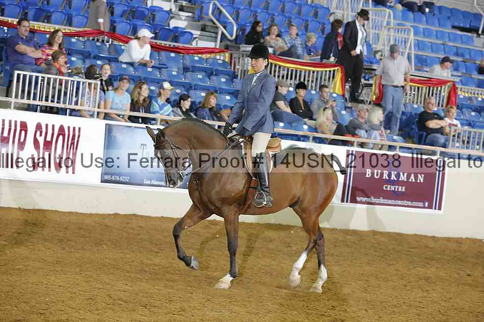 Proof 14usn_21038