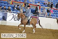 14usn_21042 proof