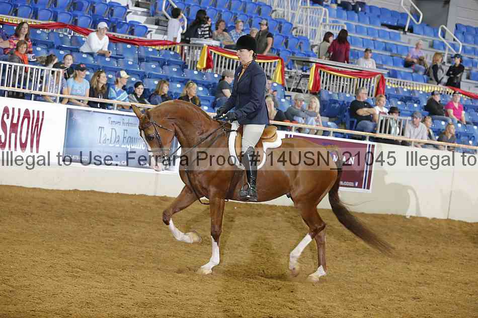 Proof 14usn_21045