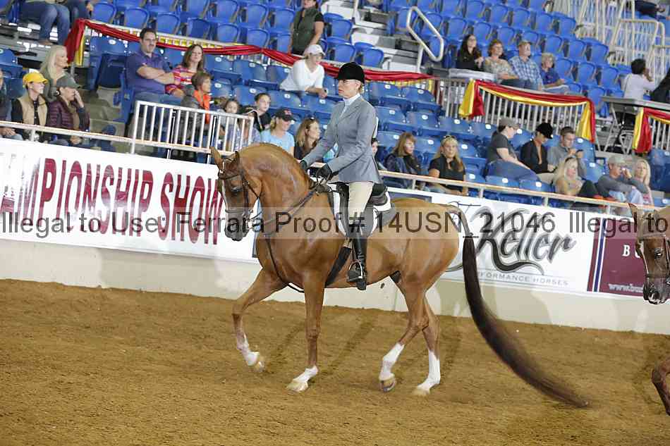 Proof 14usn_21046