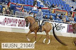 14usn_21046 proof