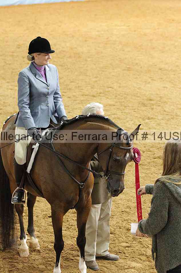 Proof 14usn_21055