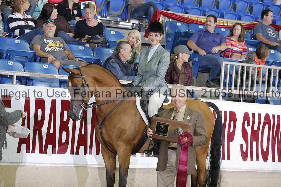 Proof 14usn_21058
