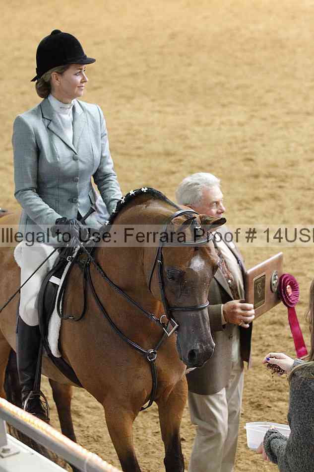 Proof 14usn_21059