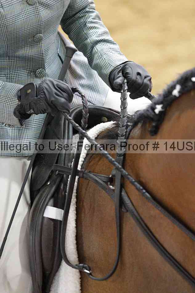 Proof 14usn_21063