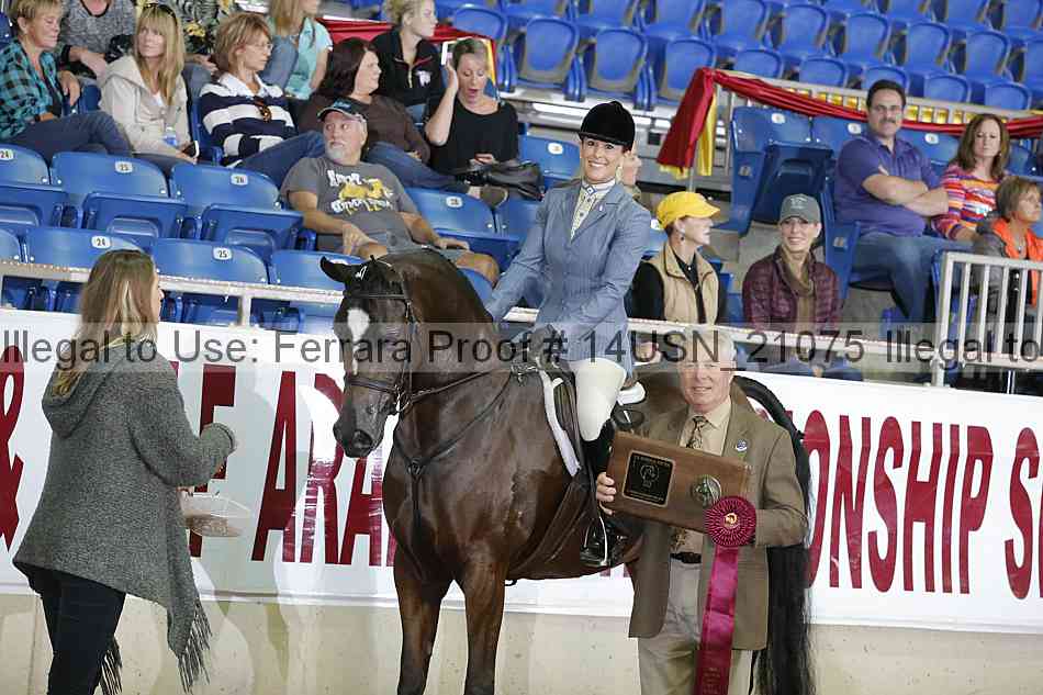 Proof 14usn_21075