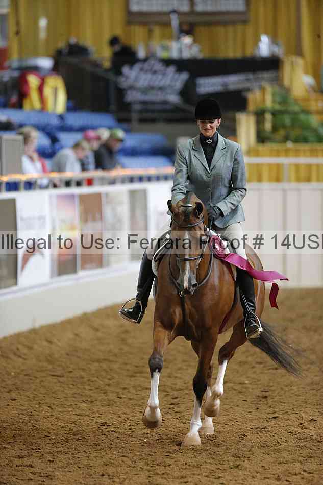 Proof 14usn_21096