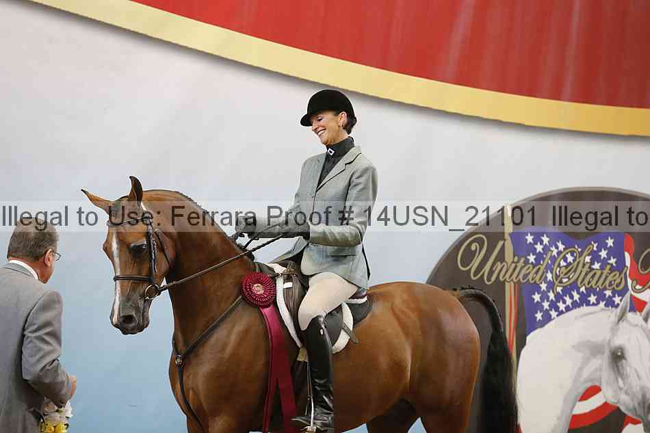 Proof 14usn_21101