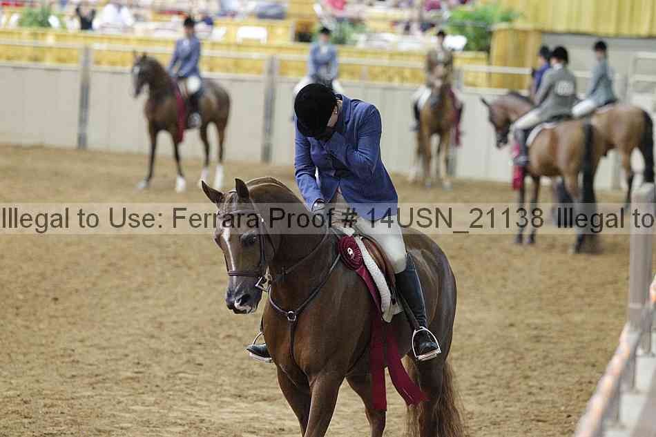 Proof 14usn_21138