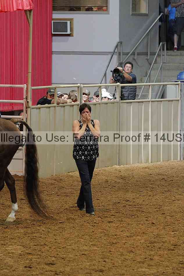 Proof 14usn_21146