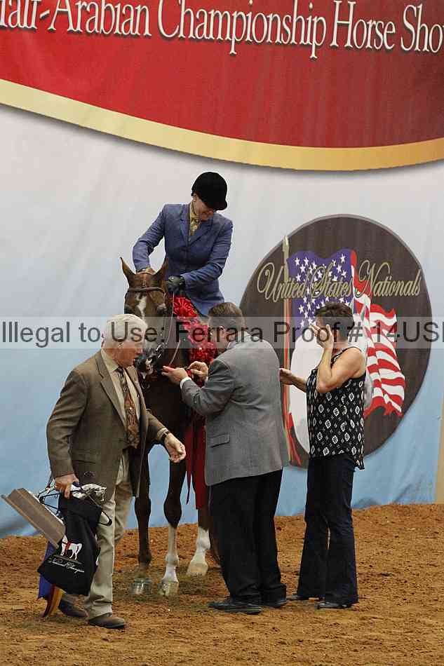 Proof 14usn_21158