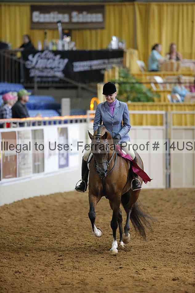 Proof 14usn_21173
