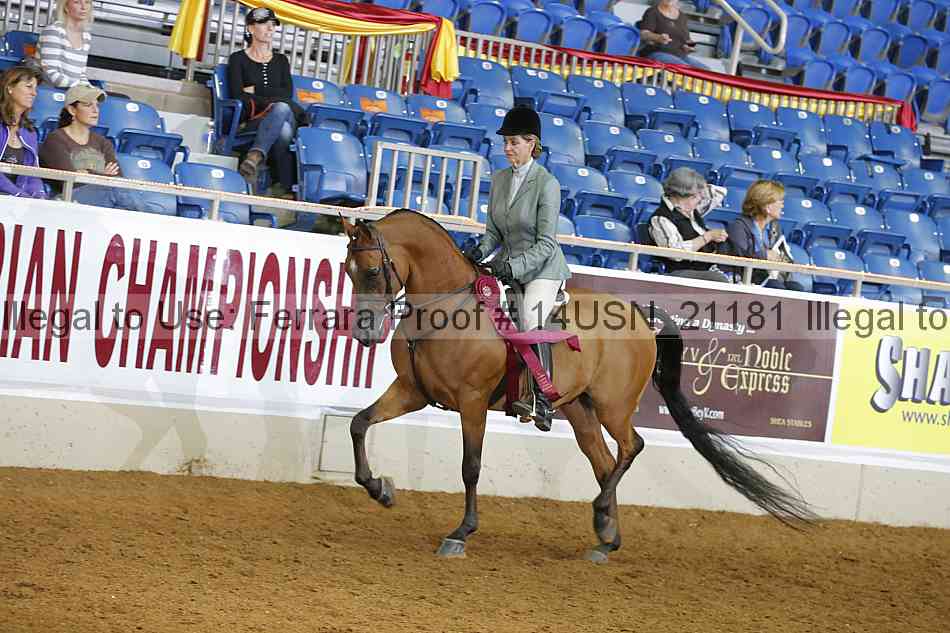 Proof 14usn_21181