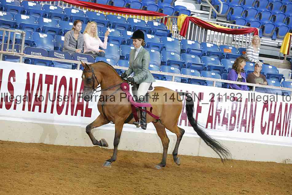 Proof 14usn_21182