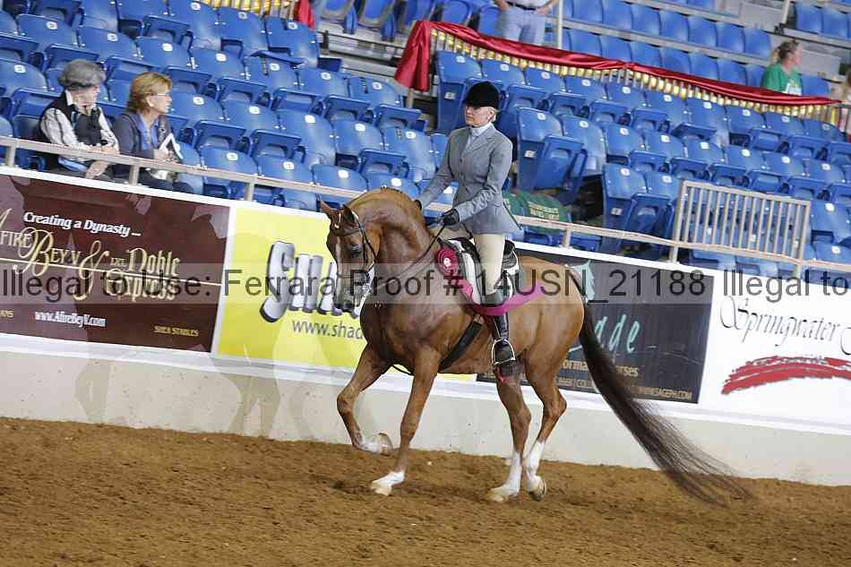Proof 14usn_21188