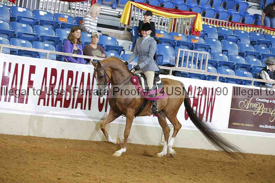 Proof 14usn_21190