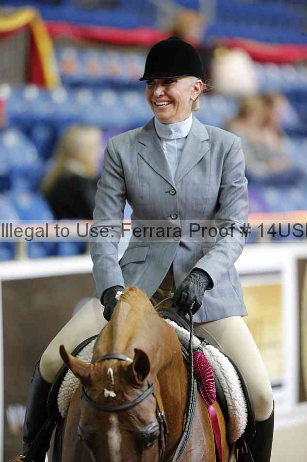 Proof 14usn_21193
