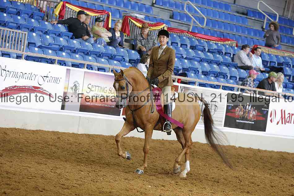 Proof 14usn_21195