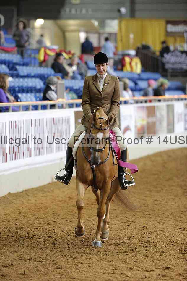 Proof 14usn_21196