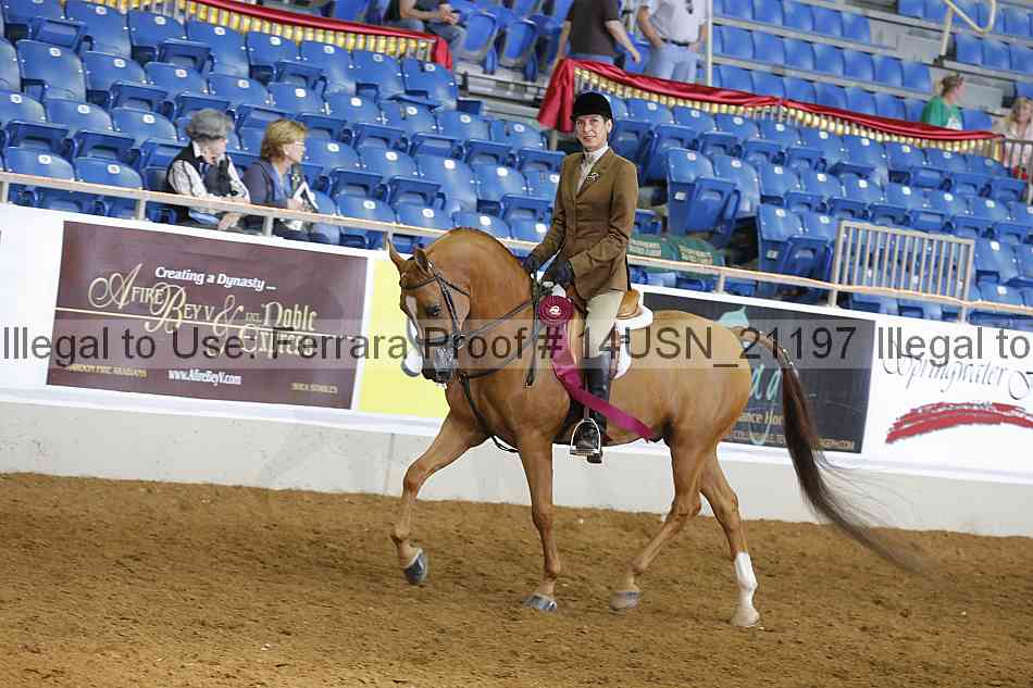 Proof 14usn_21197