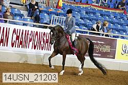 14usn_21203 proof