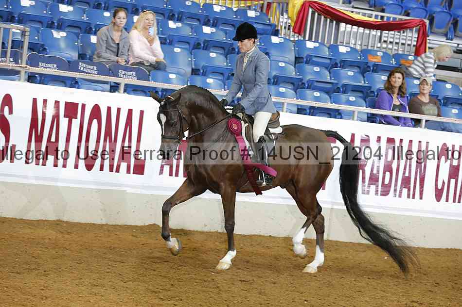 Proof 14usn_21204