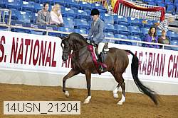 14usn_21204 proof