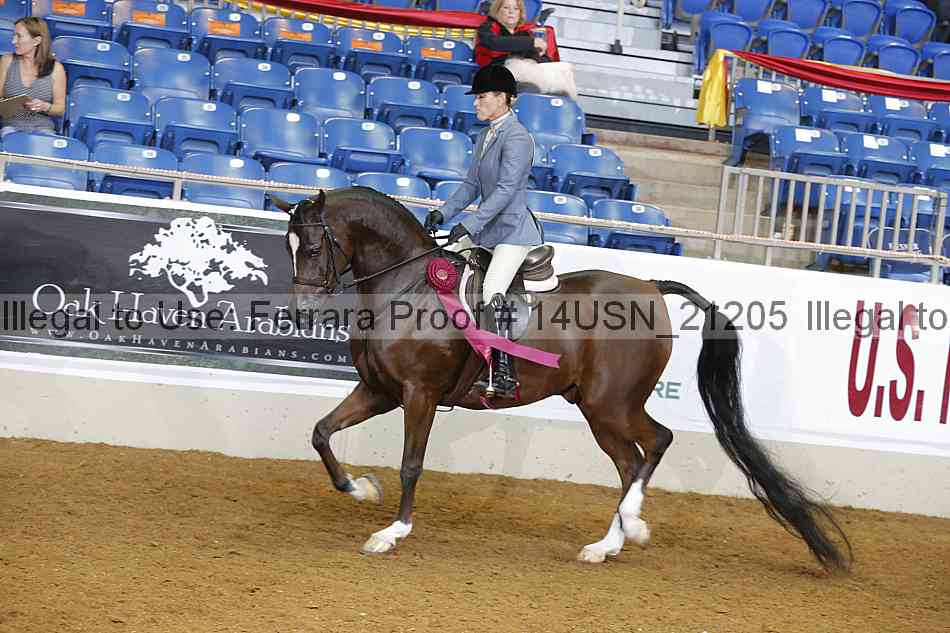 Proof 14usn_21205