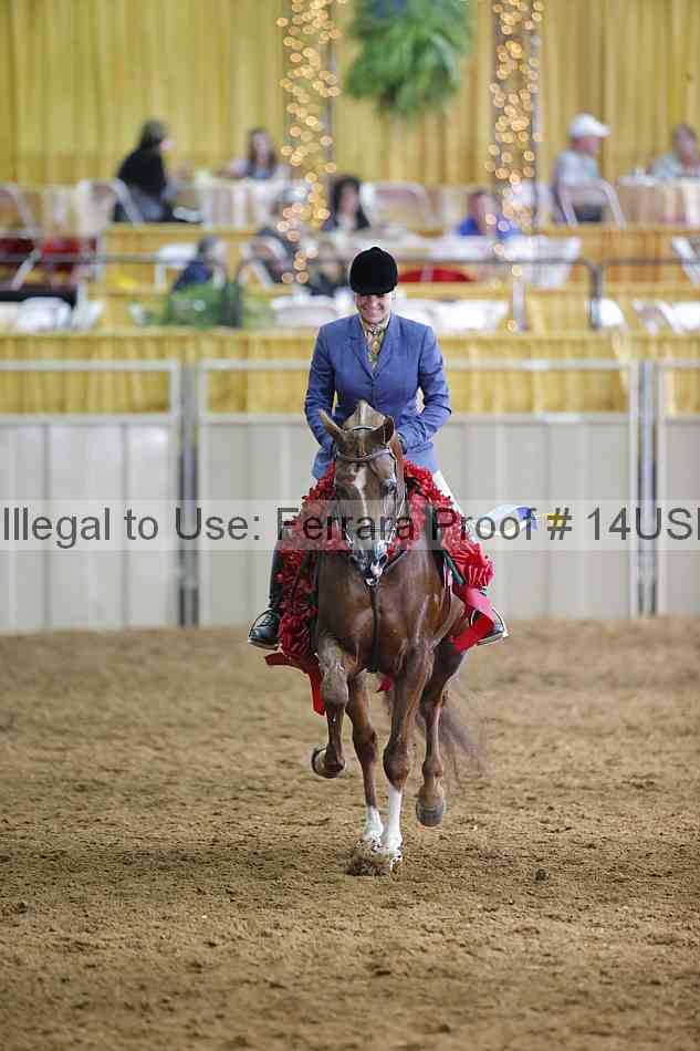 Proof 14usn_21243